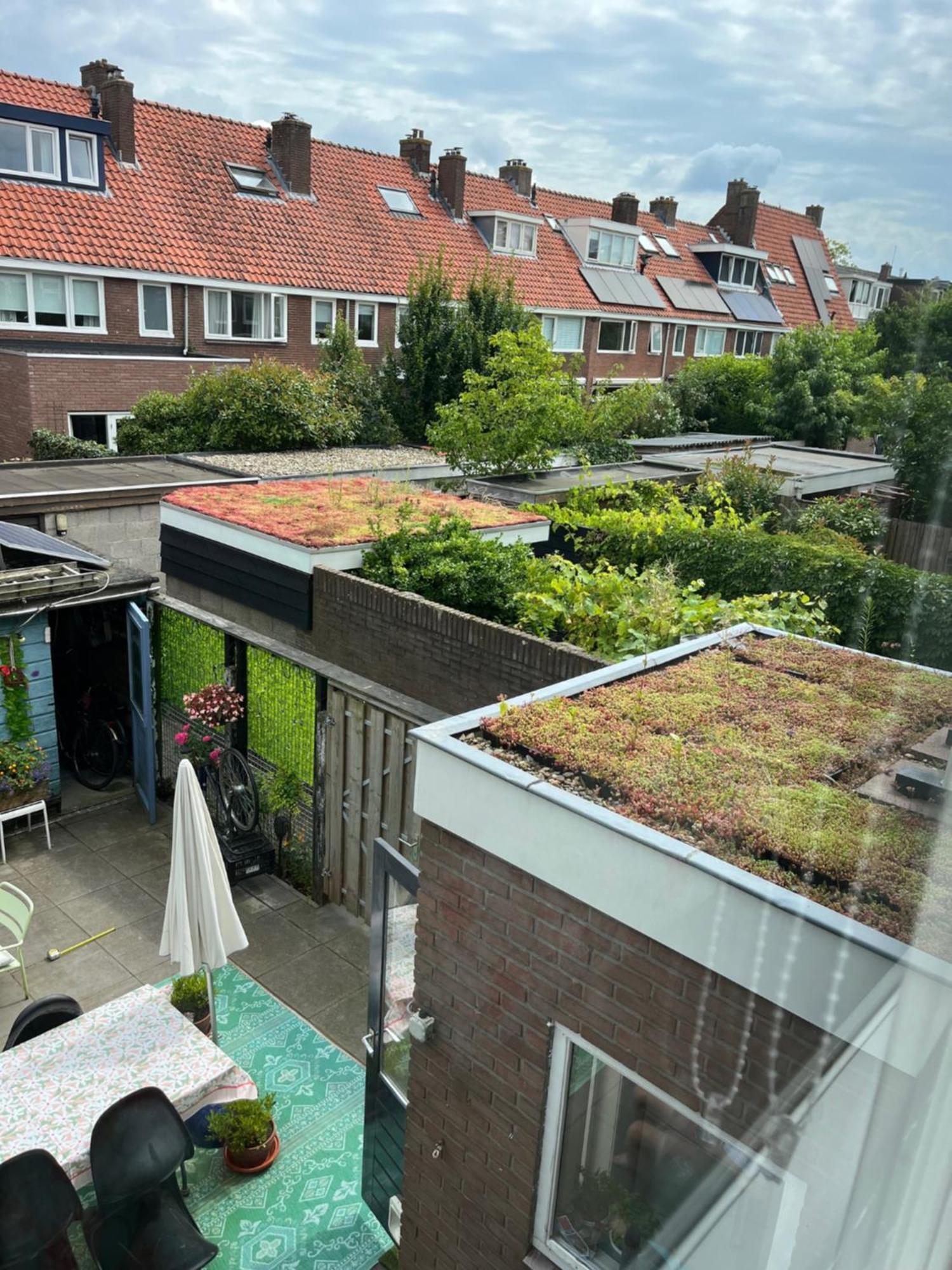 Bebabops Homestay Utrecht Exterior foto